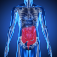 Digestion