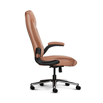 Frido 3D Posture Plus Ergonomic Chair - Frido view 3