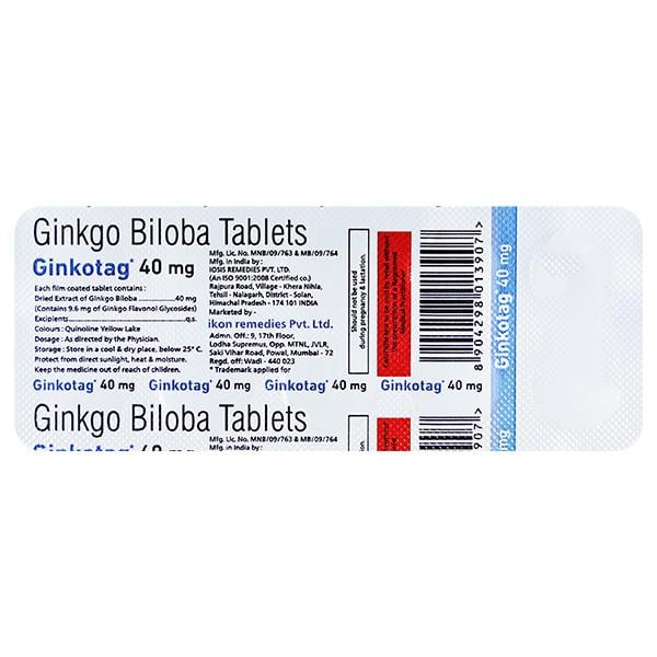 GINKOTAG 40 MG Tablet 10's