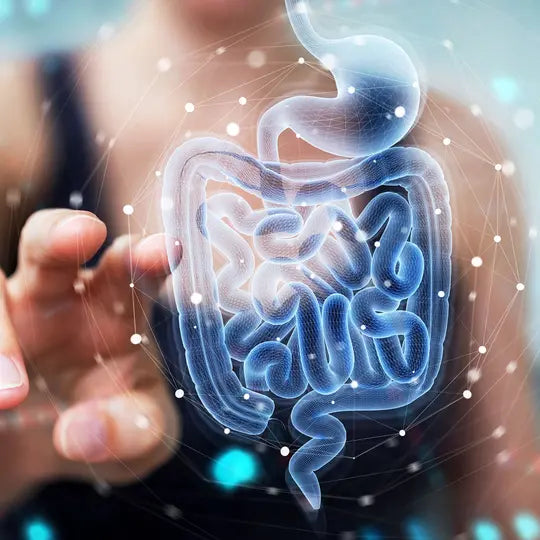 Lupizyme Plus Pineapple Flavour Syrup 100ml