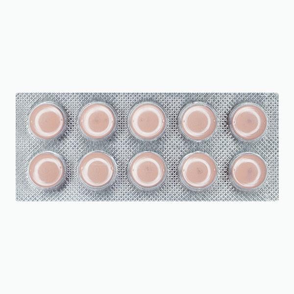 BRIVGARD 75 Tablet 10's