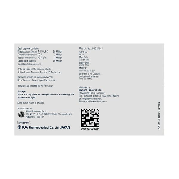 GUT OK NF Capsule 10'S