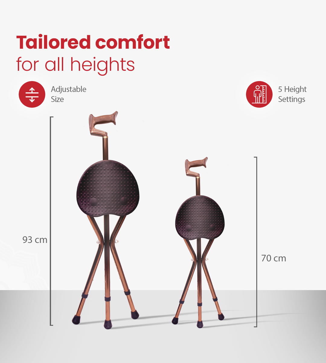 AGEasy Walk and Rest Walking Stick for seniors