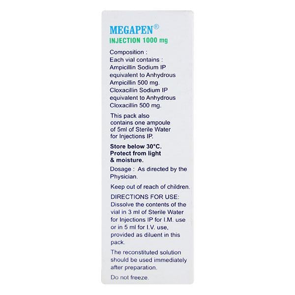 Megapen 1gm Injection 1's