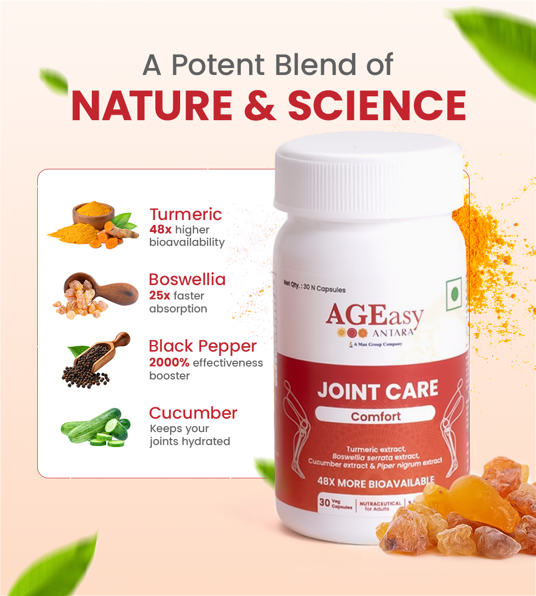 AGEasy Curcumin 48X - Maximum Absorption Formula (15 capsules)