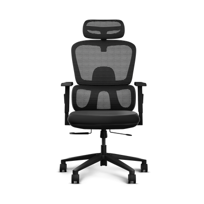 Frido AeroMesh Ergo Chair - Frido view 5
