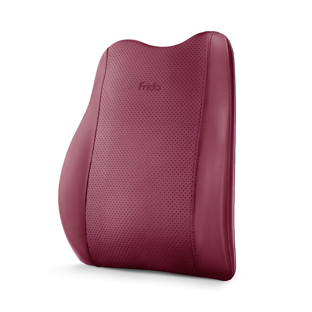 Frido Premium Car Back Rest Cushion - Frido view 2