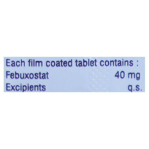 FBDAY 40 Tablet 10's