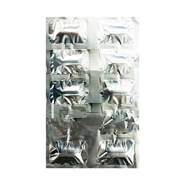 XEMBRO PLUS Tablet 10's