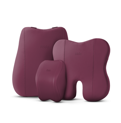 Frido Premium Car Comfort Bundle - Frido view 2