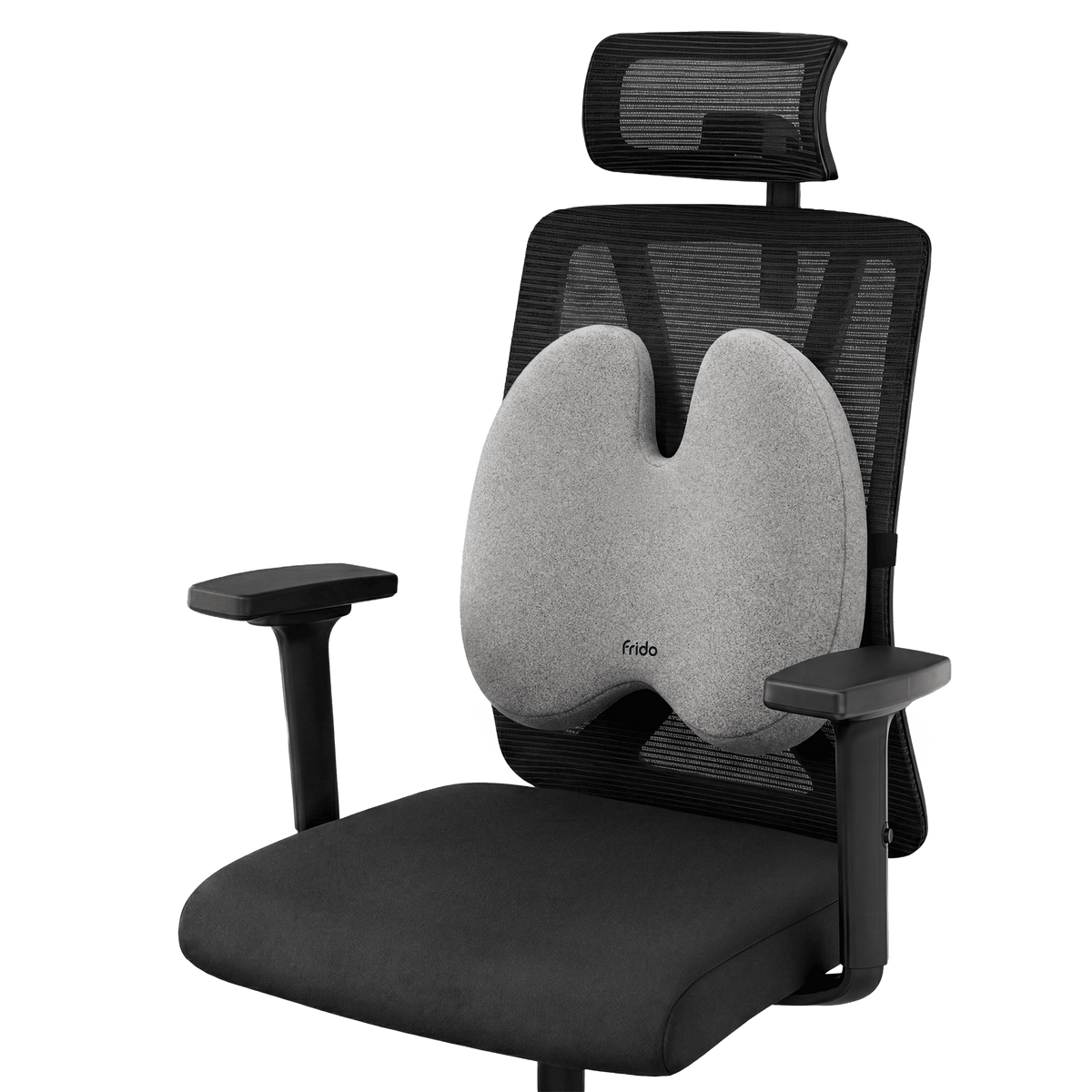 Frido Ultimate Pro Posture Corrector - Frido view 3