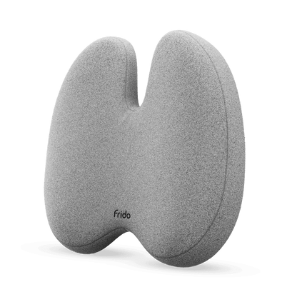 Frido Ultimate Pro Posture Corrector - Frido view 2