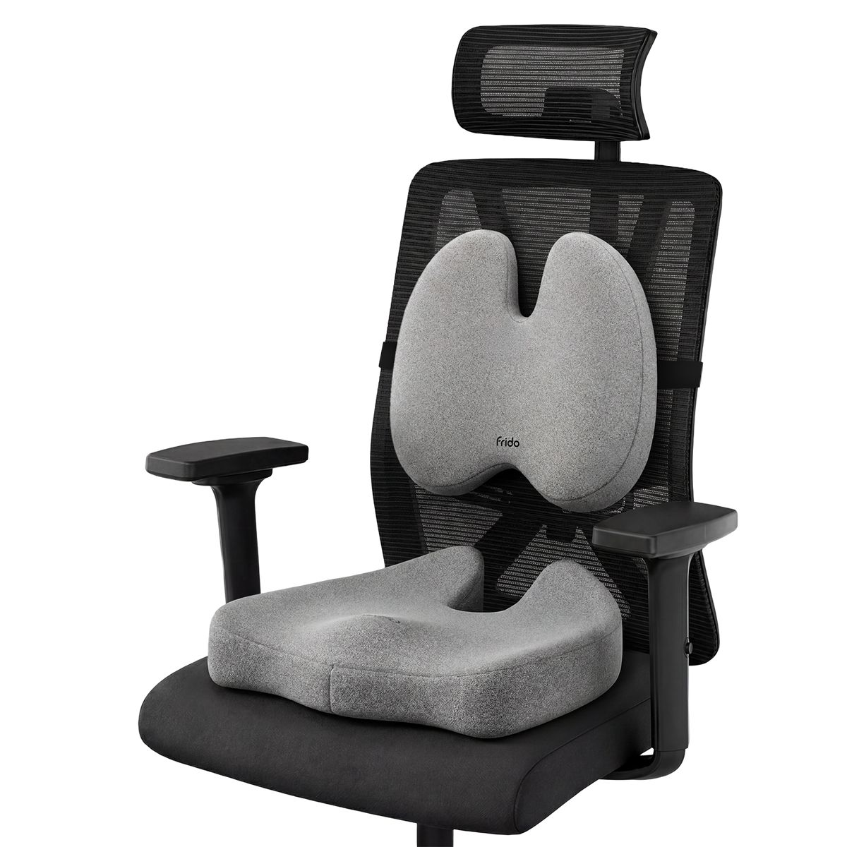 Frido Ultimate Pro Seating Combo - Frido view 3