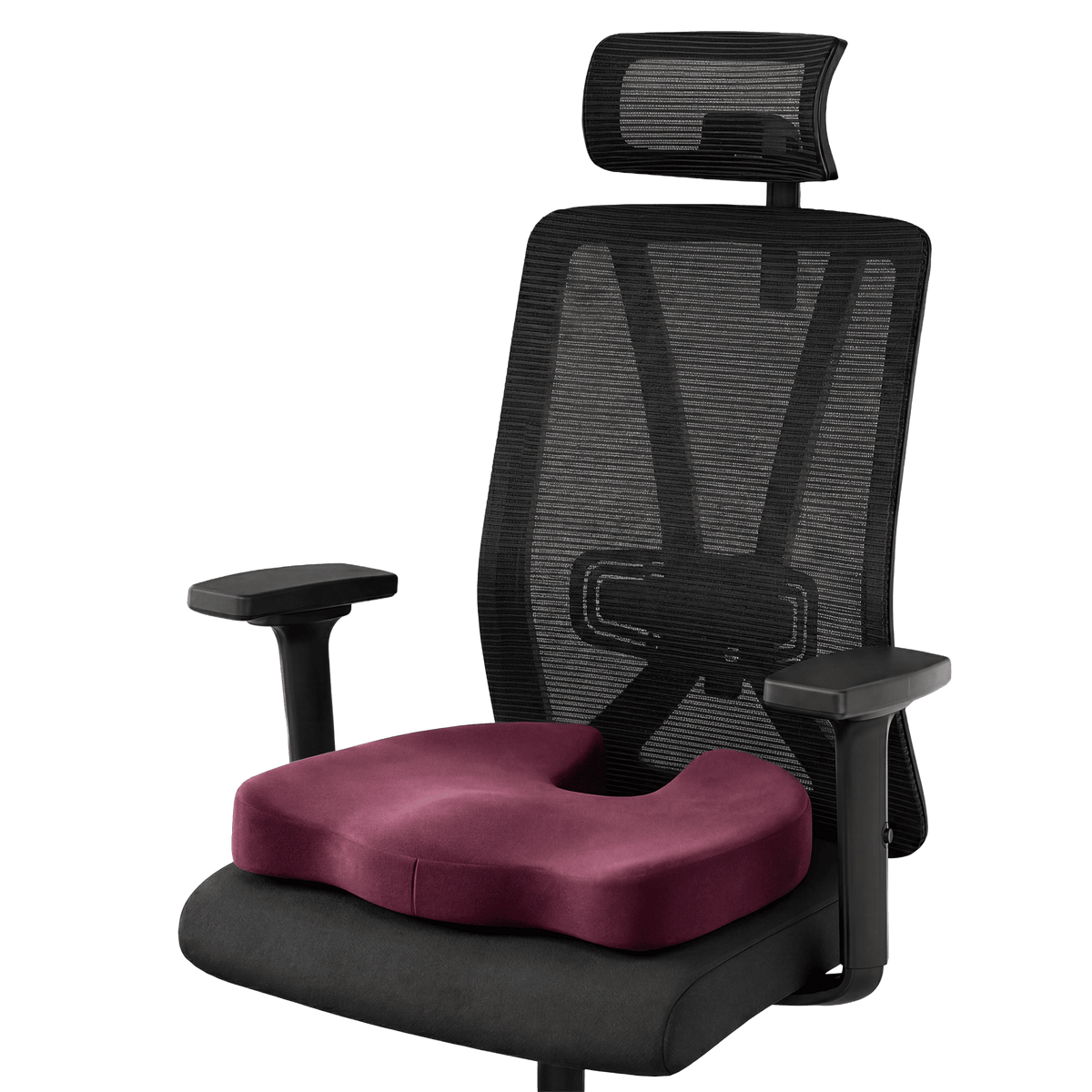 Frido XL Coccyx Seat Cushion - Frido view 3