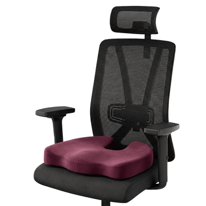 Frido XL Coccyx Seat Cushion - Frido view 3