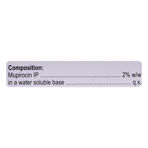 B BACT Ointment 15gm