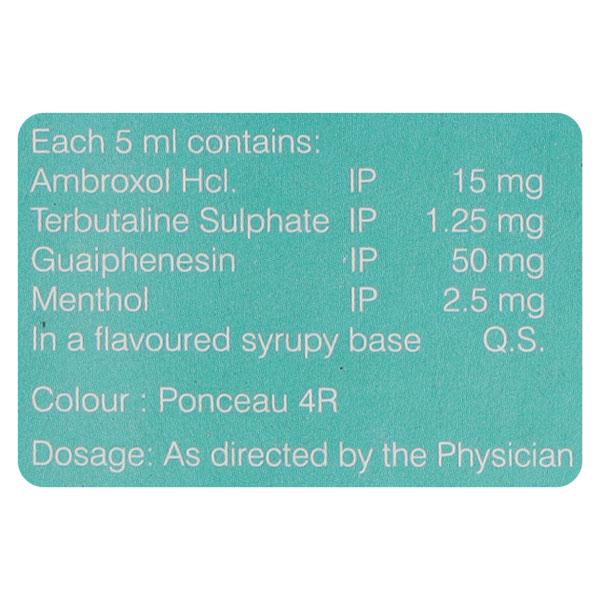 Dylasol T Syrup 100ml
