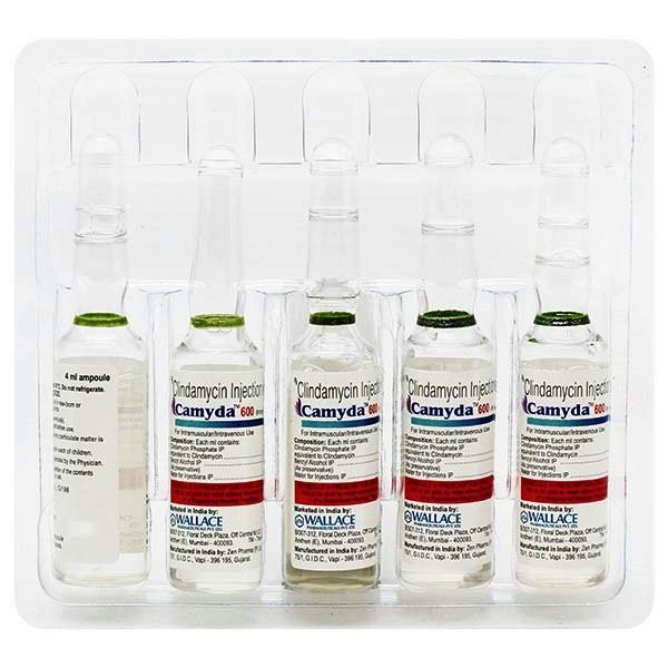 Camyda 600mg Injection 4ml