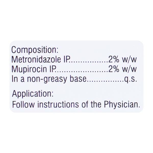 Metrogyl M Ointment 5gm