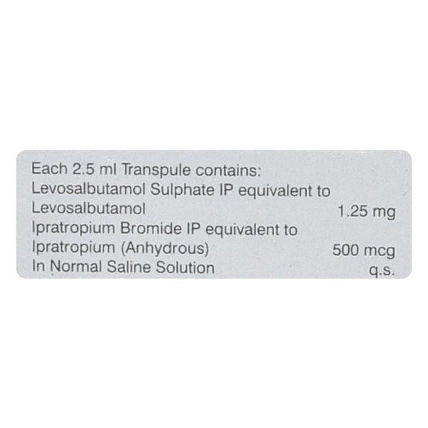 Salbair I Neb 1.25mg Transpule 2.5ml