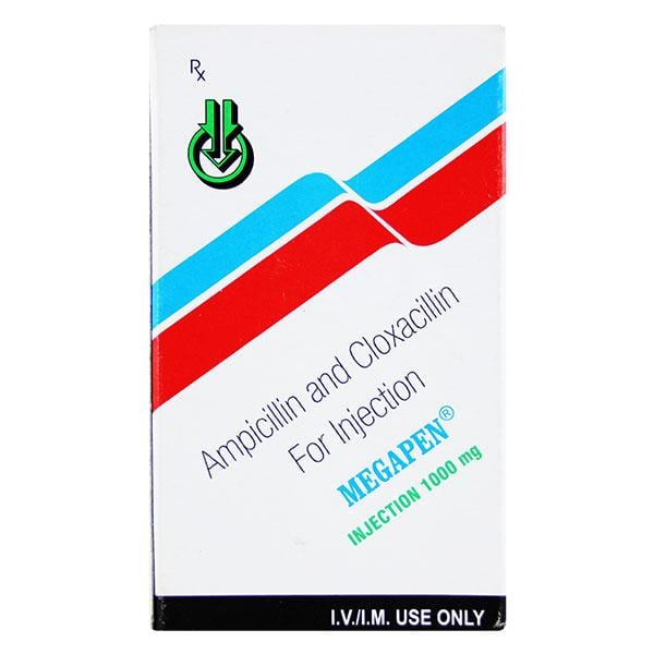 Megapen 1gm Injection 1's