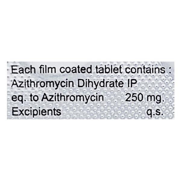 NANOGRAM 250mg Tablet 6's