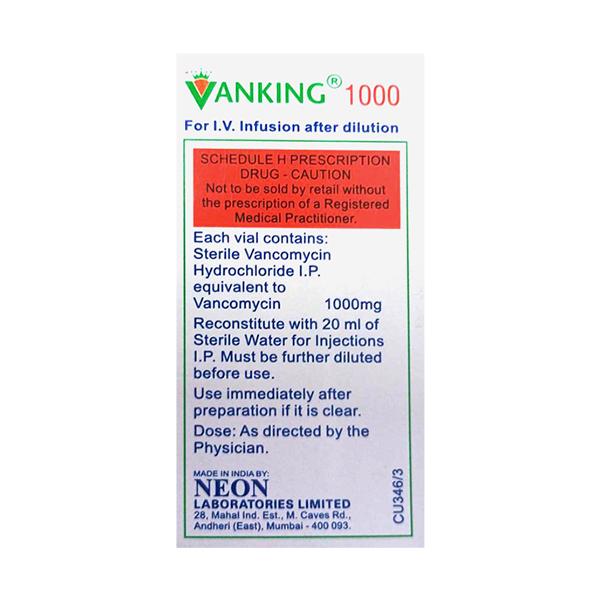 VANKING 1000 Injection 1's