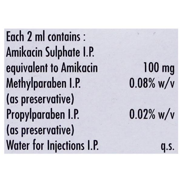 ALINFEC 100mg Injection 2ml