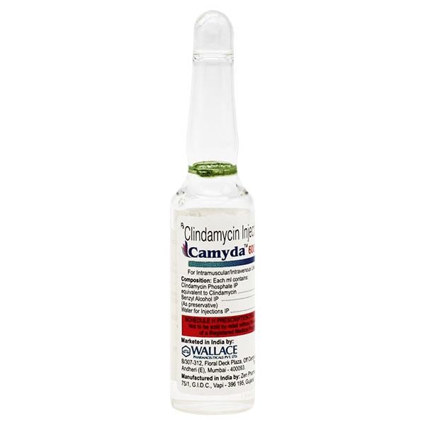 Camyda 600mg Injection 4ml