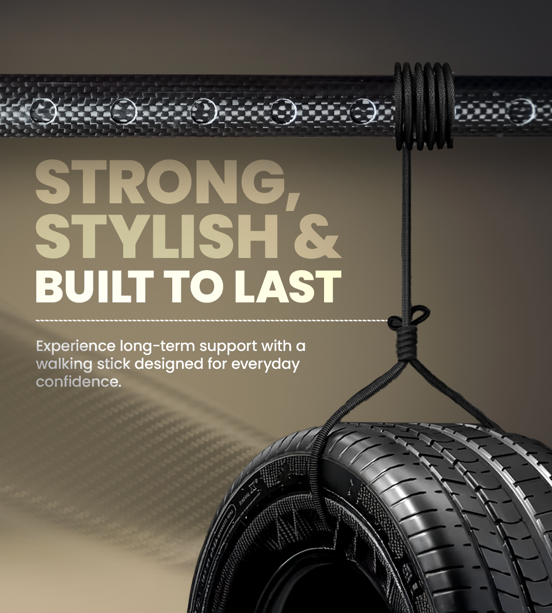 AGEasy Pivot Explorer Carbon Walking Stick