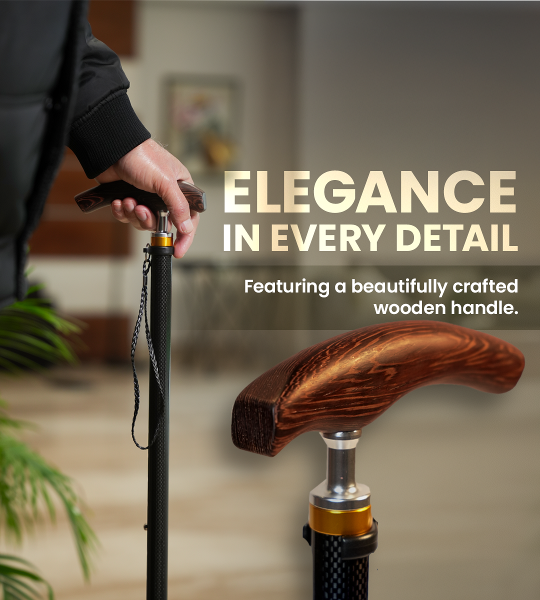 AGEasy Pivot Explorer Carbon Walking Stick