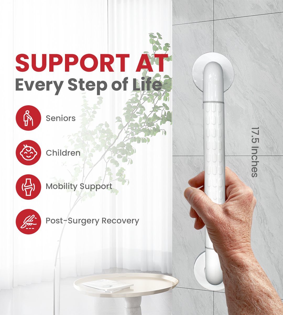 AGEasy Anti-Slip Grab Bar