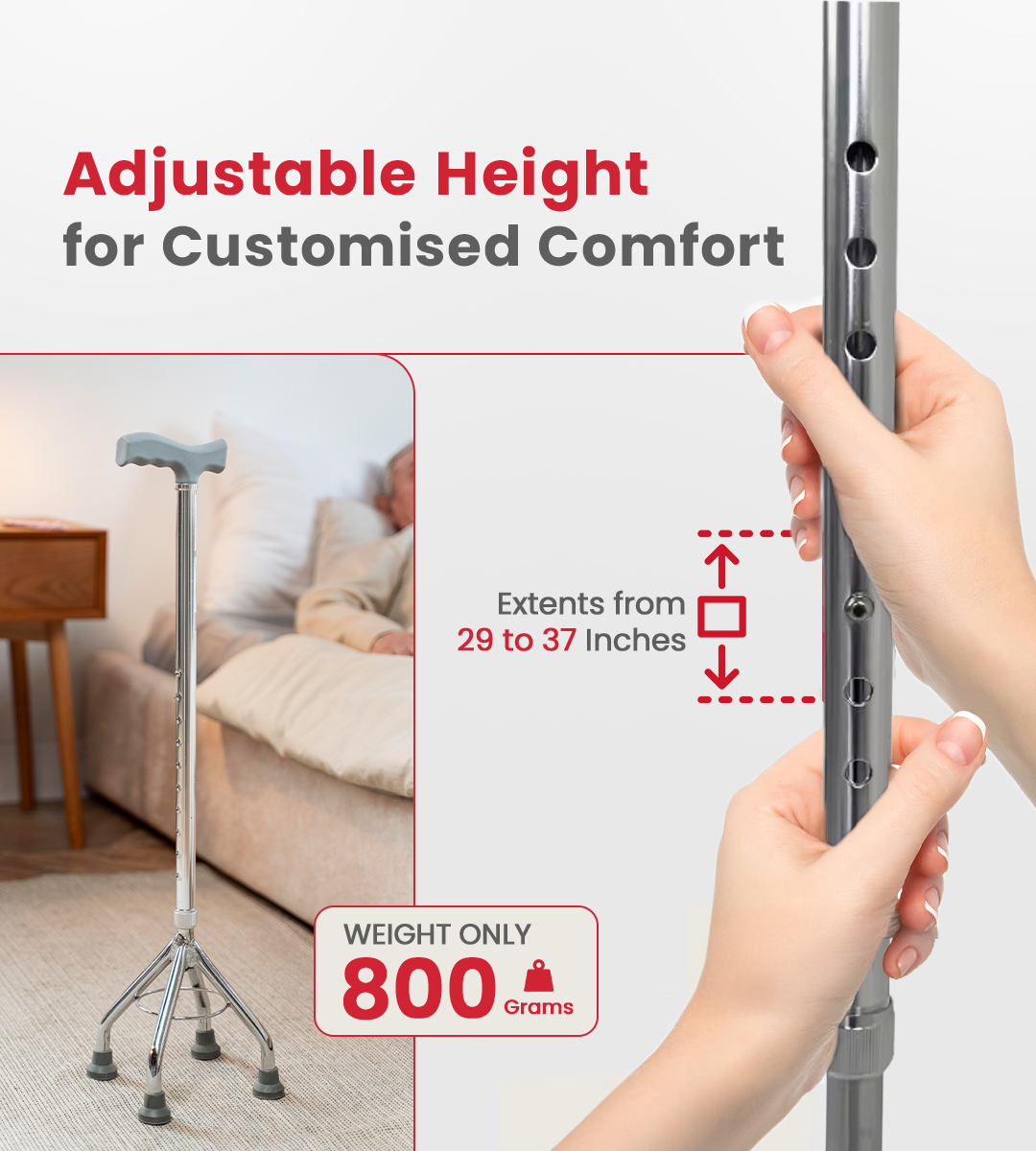 AGEasy Four Leg Walking Stick