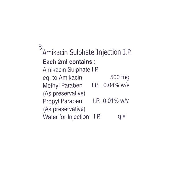 AMILAB 500 Injection 1's