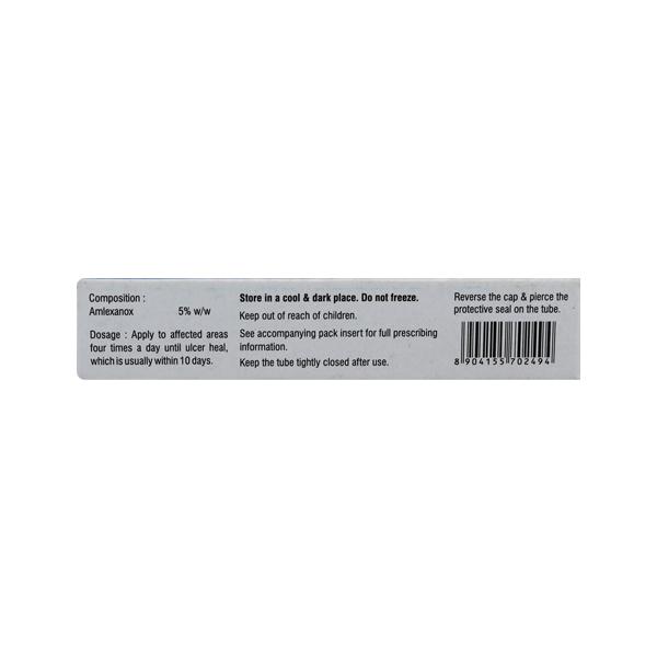 AMLENOX ORAL PASTE 5G(L)