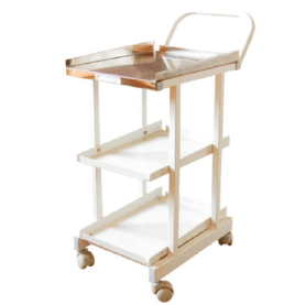 Aemepl Healthcare ECG Trolley - Global Surgicals