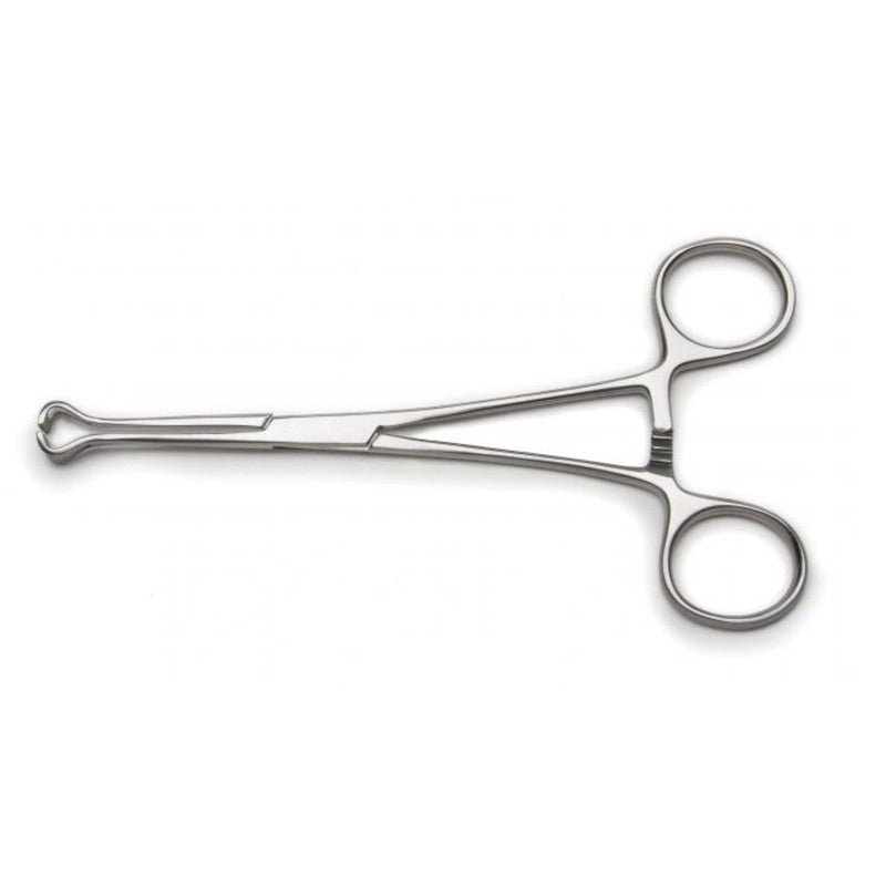Agarwals Babcock Tissue Forcep - Global Surgicals