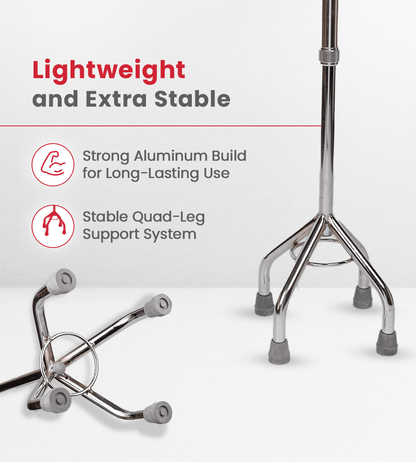 AGEasy Four Leg Walking Stick - Global Surgicals