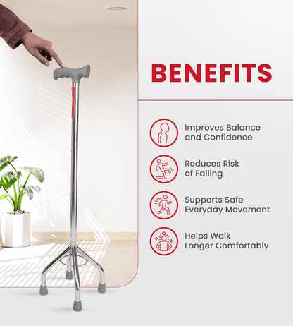 AGEasy Four Leg Walking Stick - Global Surgicals