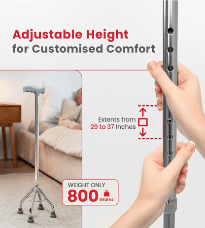 AGEasy Four Leg Walking Stick - Global Surgicals