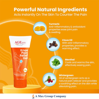 AGEasy Pain Relief Gel (Pack 2) - Global Surgicals