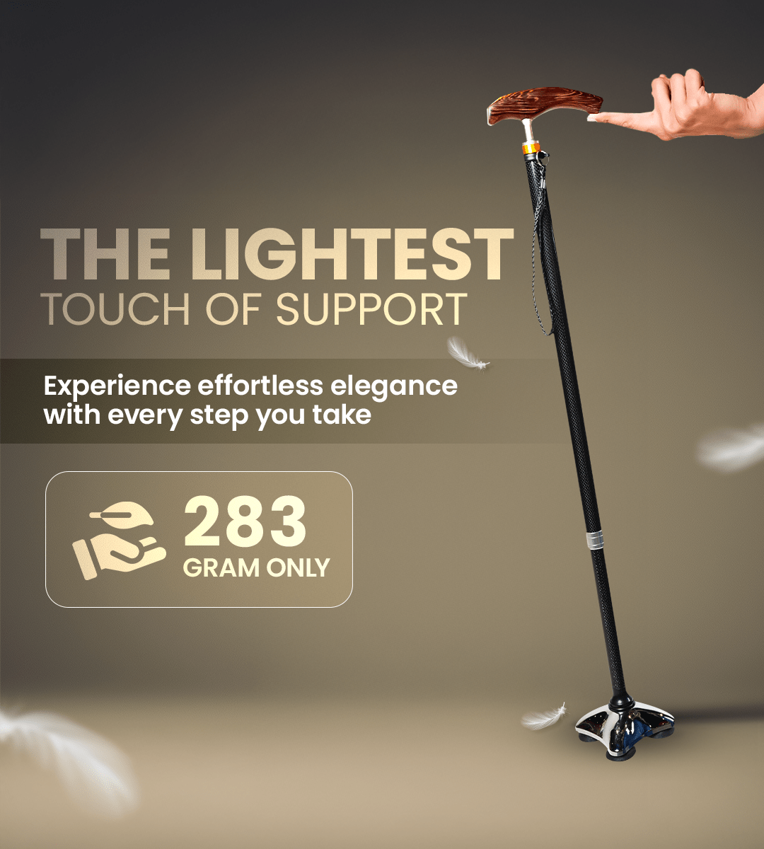 AGEasy Pivot Explorer Carbon Walking Stick - Global Surgicals