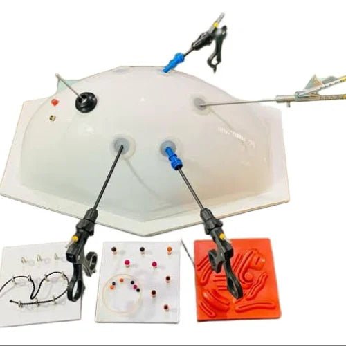 Arete Endotrainer Dome Shaped - Global Surgicals