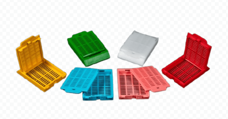 Astra Cassettes with Detachable Lid and Writing Space for Embedding - Global Surgicals