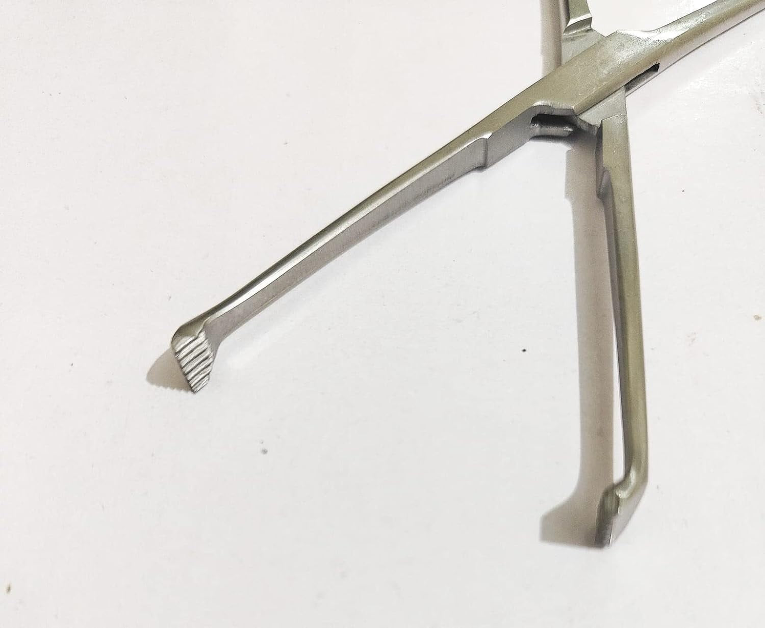 Vaishanav Surgicals Allice Tissue Forcep