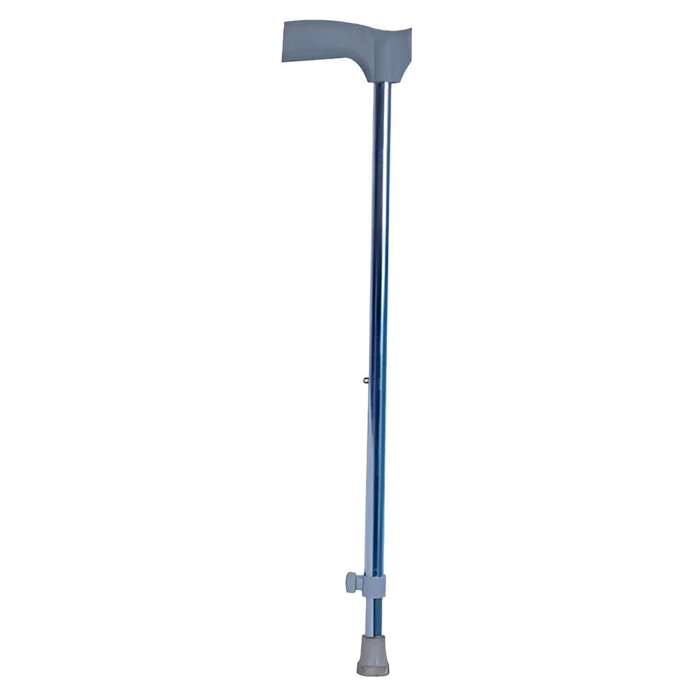 BFN Build For Nurture Walking Stick - Global Surgicals