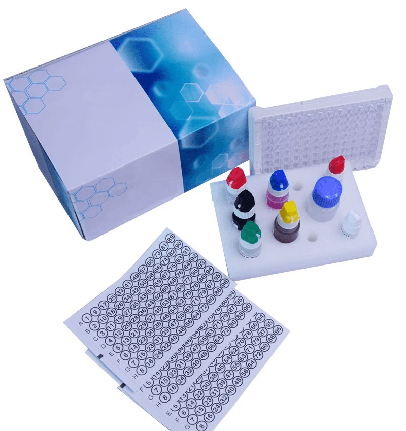 Biogenix Rubella IgG ELISA test Kit - Global Surgicals