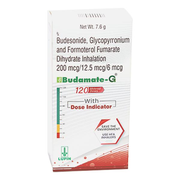 BUDAMATE G WITH DOSE INDICATOR 120md Inhalation 7.6g