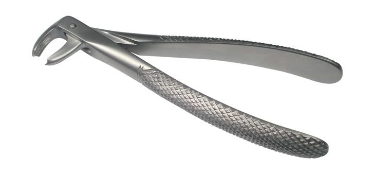 Cat Instruments Adult Lower Molar Extraction Forceps - Global Surgicals
