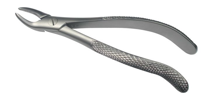 Cat Instruments Adult Universal Anterior Extraction Forceps - Global Surgicals